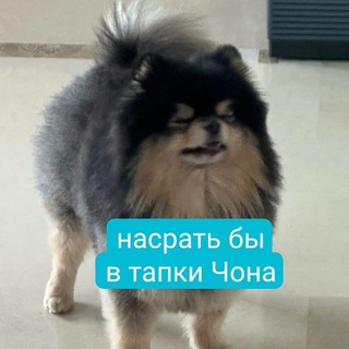 Логотип @kpoplovechat - 🍓🍡彡