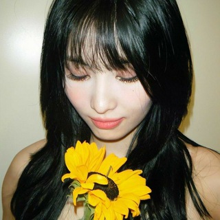 Логотип @kpopvikii - ᴋ-ᴩᴏᴩ #viᴋii🌼