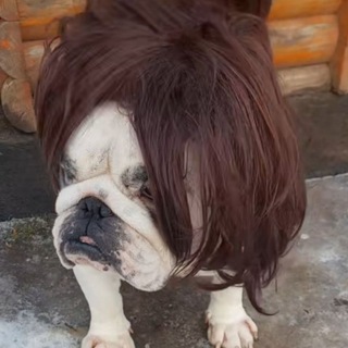 Логотип @kracendesign - Будка Deyki😈