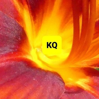 Логотип @kraftquelle_ich_bin - KRAFTQUELLE☀️☀️☀️