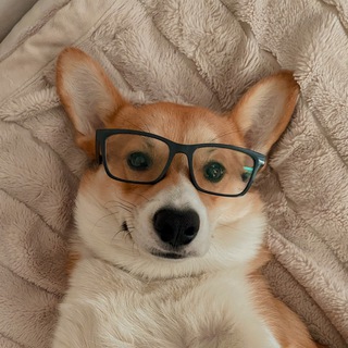 Логотип @krakino - Кракино