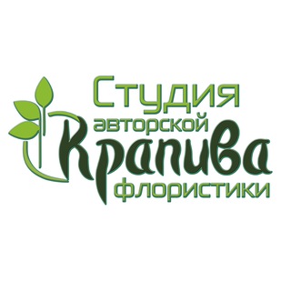 Логотип @krapiva_studio - Студия авторской флористики "Крапива"