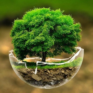 Логотип @krasaplaneti - КРАСА ПЛАНЕТИ 🌏