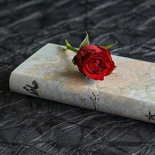 Логотип @krasiviestihi - Поэзия | Стихи | Цитаты | Афоризмы