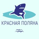 Логотип @krasnaya_polyana_zn - Красная Поляна Эстосадок Чвижепсе Медовеевка Знакомства Чат Общение Реклама Новости Барахолка Вписки Бизнес