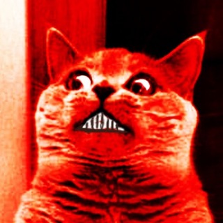 Логотип @krasnii_kot - Красный Чат