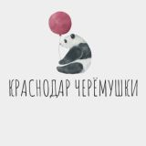 Логотип @krasnodar_cheremushki - Краснодар Черёмушки Ставропольская Вещевой Рынок Вешняки Новороссийская улица Краснодара Знакомства Общение Чат Барахолка Вписки
