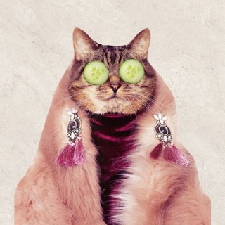 Логотип @kraso_tut - И кожа, и одёжа