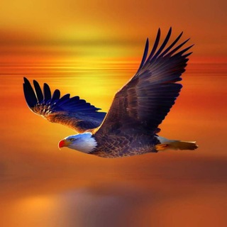 Логотип @krasotakavkazavip - Красота Кавказа VIP