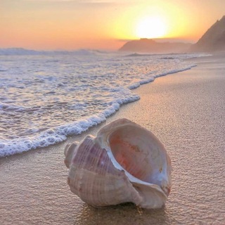 Логотип @krasotaruskaya - Отдых на Родине