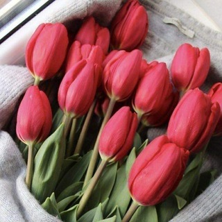 Логотип @krasotave - Островок🧚🦩🌺🌞🐞