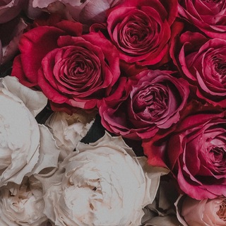 Логотип @krasotavovsemsmotri - Krasotavovsemsmotri