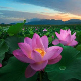 Логотип @krasotymiraa - Красоты мира|Туризм|Путешествия