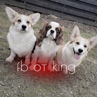 Логотип @krifcifirj - ⛓ɸઠ ૦੮ κɪⲛɢ 🧶