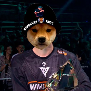 Логотип @kripo4kii - Крипочки Тысячного Ранга | Dota 2 cybersport