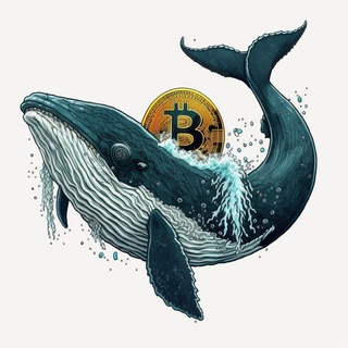 Логотип @kriptokit01 - CRYPTO KIT