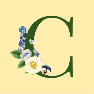 Логотип @kristinacanal - Сезоны