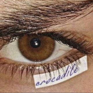 Логотип @krokadl - 𝐂 𝐑 𝐎 𝐂 𝐀 𝐃 𝐋