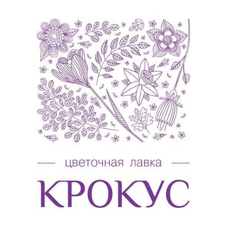 Логотип @krokus73 - ЦВЕТЫ | БУКЕТЫ | УЛЬЯНОВСК
