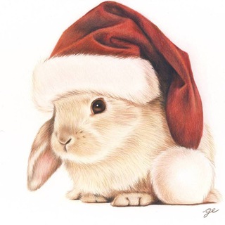 Логотип @krolich_ki - кролички