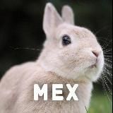 Логотип @krolichky - Кролічки🐰🔞УкрТґ