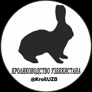 Логотип @krolluzb - Кролиководства УЗБ
