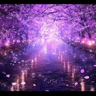 Логотип @krololophoto - KrolVision