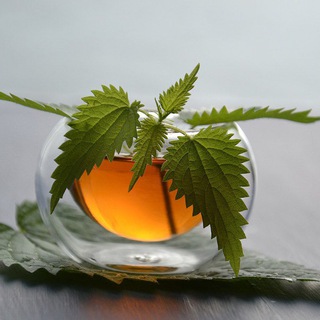 Логотип @kropuva_news - Kropuva News