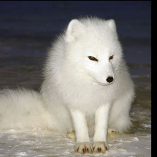 Логотип @kroshka85 - Нам здесь жить