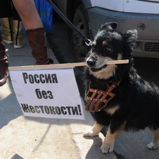 Логотип @krovavayasardana - Россия без жестокости