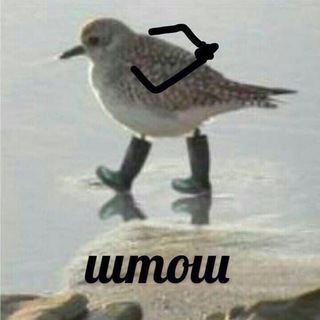 Логотип @krtnkgf - Кртнки
