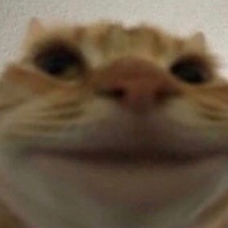 Логотип @kruglahi - КРУГЛЯШИ