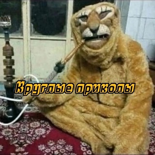 Логотип @kruglishi1221 - Круглые приколы