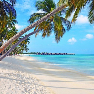 Логотип @krugosvetom - Вокруг Света