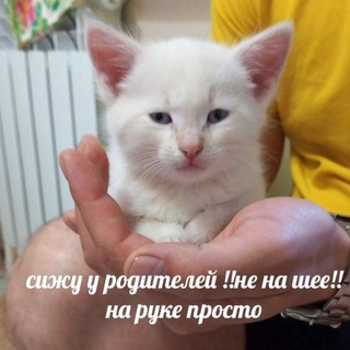 Логотип @krugovo - КРУГОВОЙ