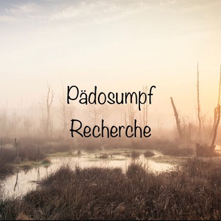 Логотип @krumme13 - 🔎 Pädosumpf Recherche 🔍