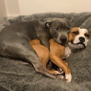 Логотип @kryak_fm_tg - K R Y A K