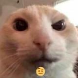 взлоМАТЬ вконтактЕРМАК ТГЮ