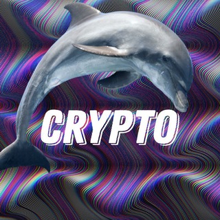 Логотип @kryptokit1 - KryptoKit