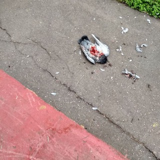 Логотип @kryptologie - курю кино смотрю дерьмо