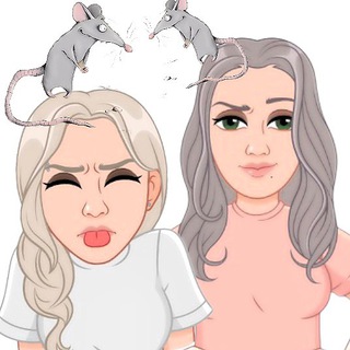 Логотип @krysatut - Крыса вещает