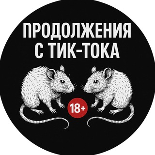 Логотип @krysavibe - Крысиный вайб