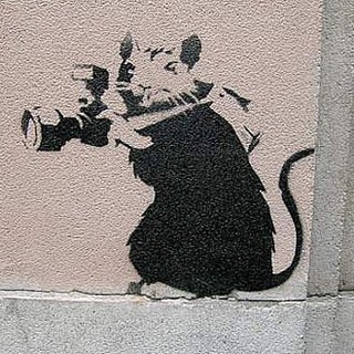 Логотип @krysevachat - 🐀🐀🐀