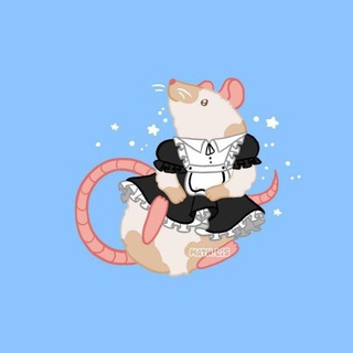 Логотип @kryskivchulochkax - Крыски в чулочках