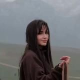 Дневник путешественницы