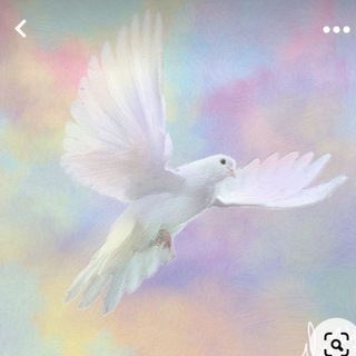 Логотип @ksvetyvmeste - Путь к свету. Духовное развитие✨