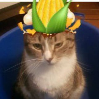 Логотип @ksyeie83gb - чат