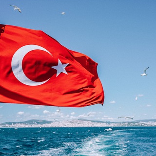 Логотип @kto_v_stanbule - КТО В СТАМБУЛЕ