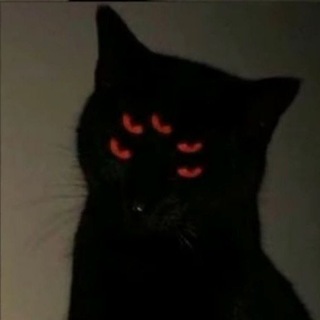 Логотип @kttk1p - ʿ⊹࠭. 🎸Is this love𝅄᮫۪ 🕸️♡