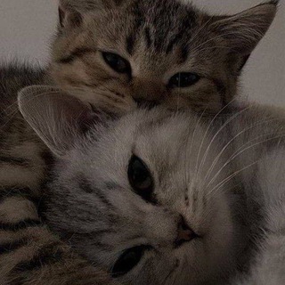 Логотип @kuasheevv - 𝙿𝚎𝚊𝚌𝚎 𝚘𝚏 𝚖𝚒𝚗𝚍❤🕋